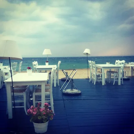 Daire Anneta's House *